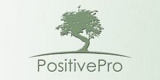 firma konsultingowa PositivePro